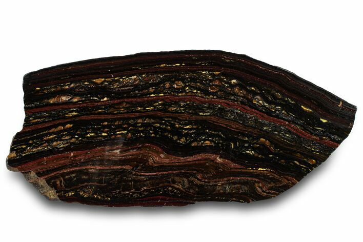 Polished Tiger Iron Stromatolite Slab - Billion Years #319361